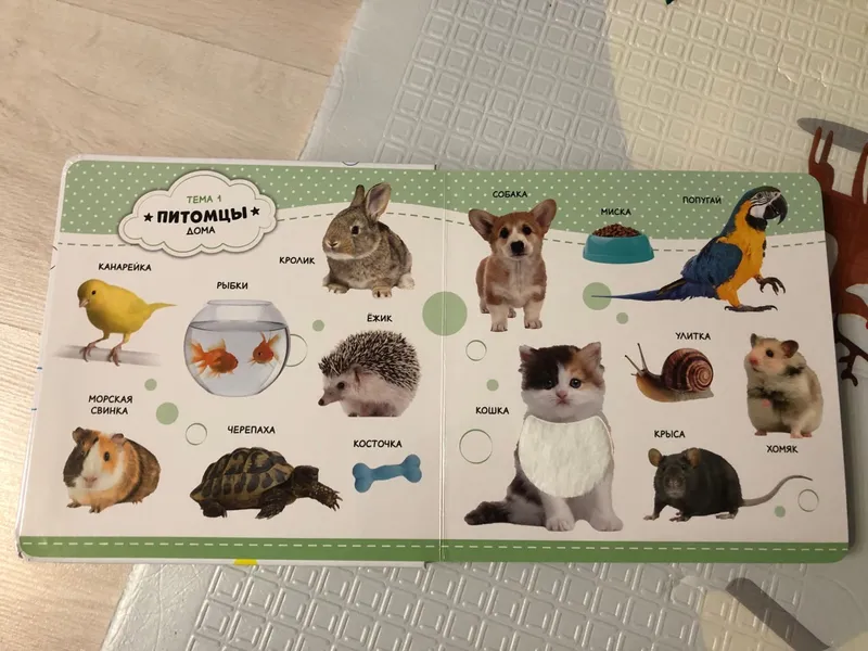 Фотография для книги Первые слова