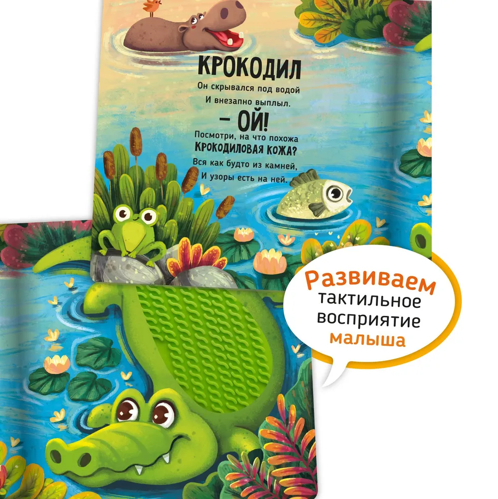 Фото книги Сафари 2