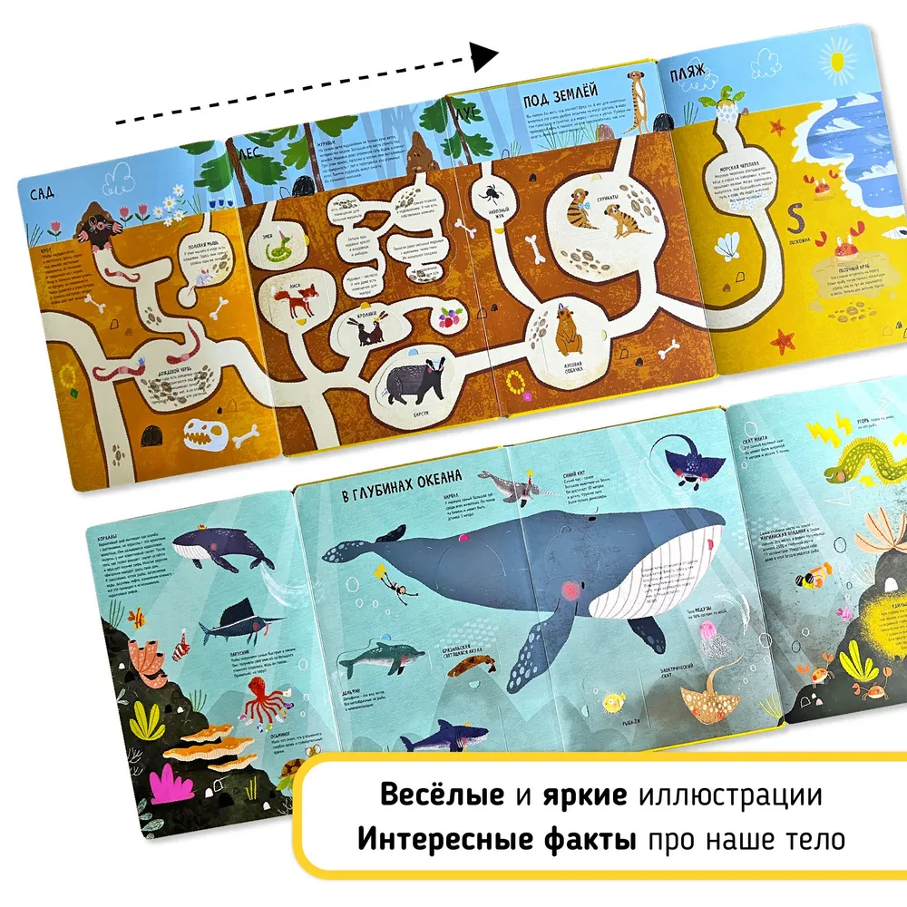 Фотография для книги Животные