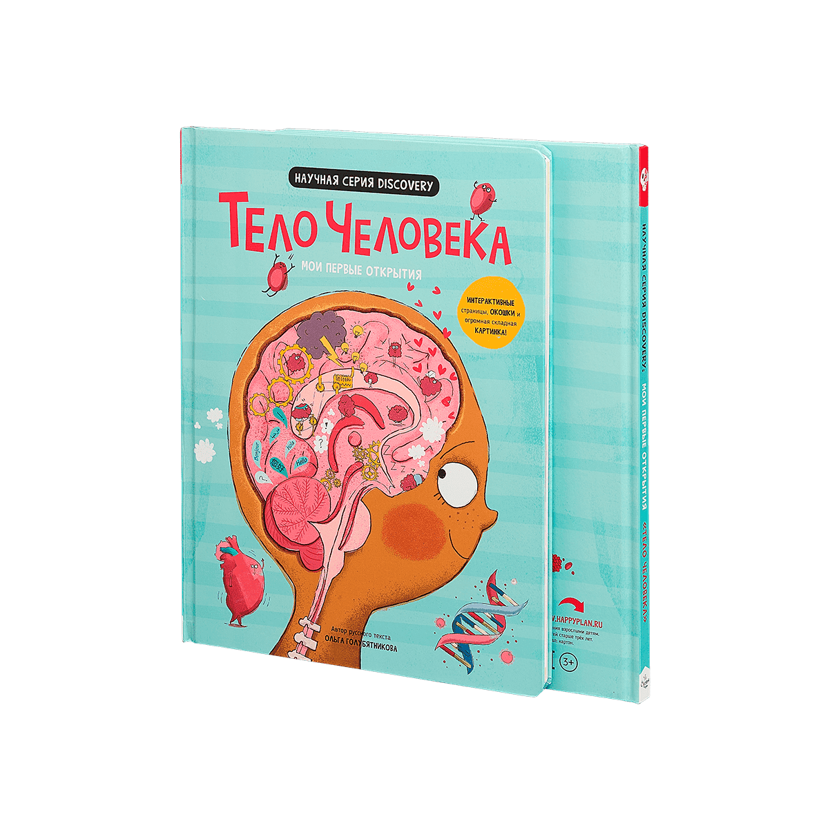 Тело человека