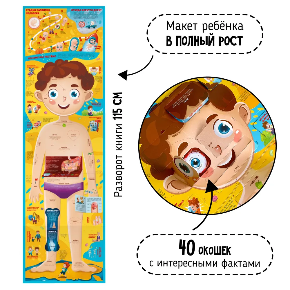 Фото книги Что внутри человека 1