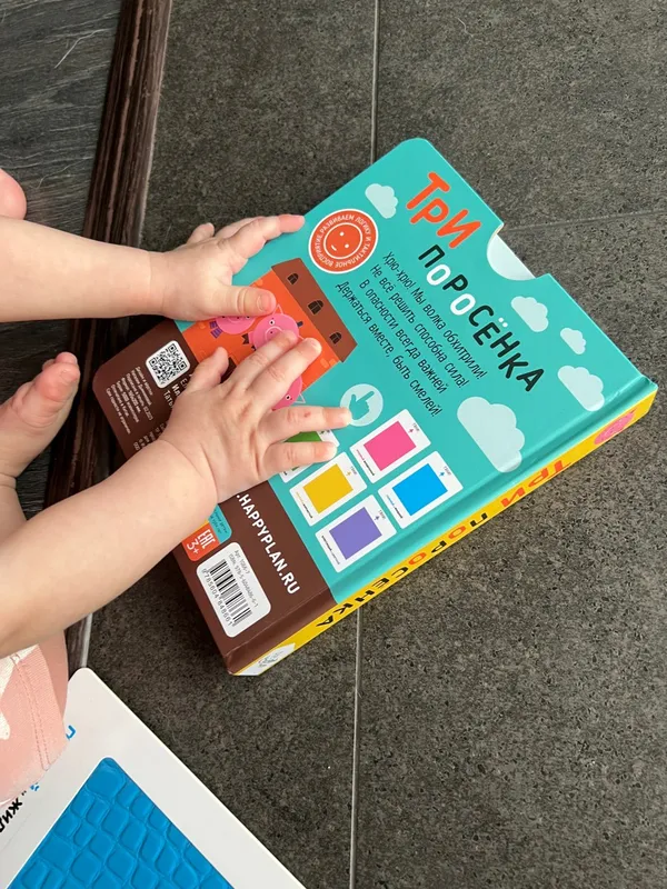 Фотография для книги Три поросенка