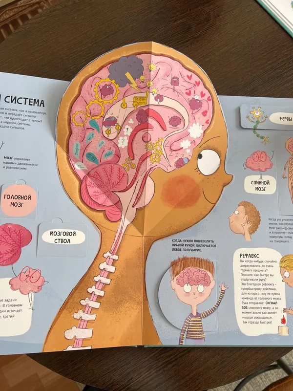 Фотография для книги Тело человека