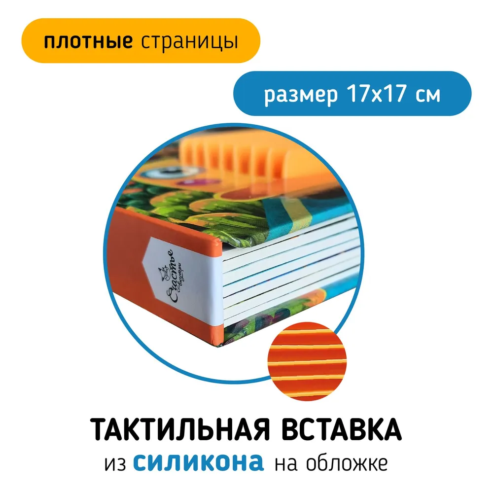 Фото книги Транспорт 5