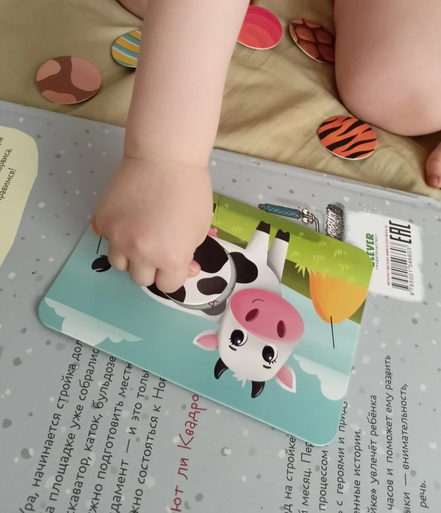 Фотография для книги Животные