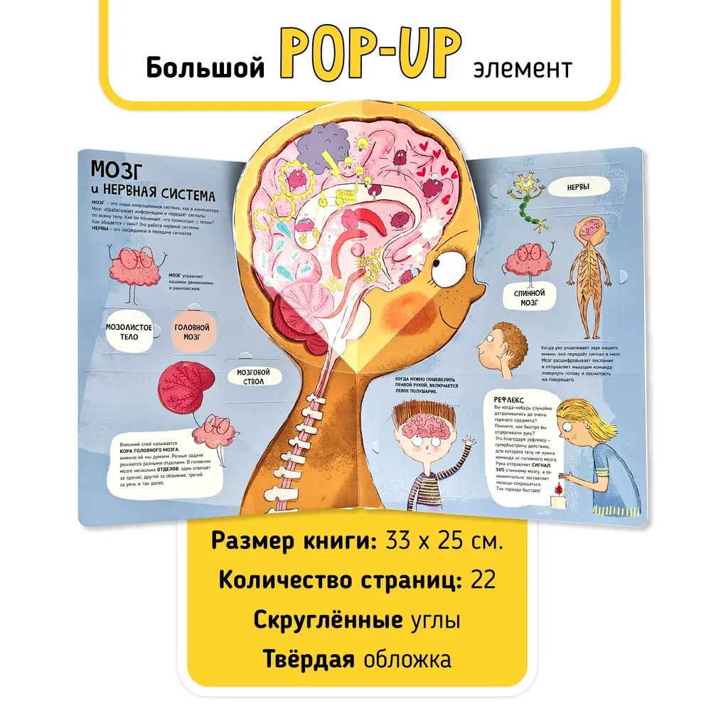 Фото книги Тело человека 4