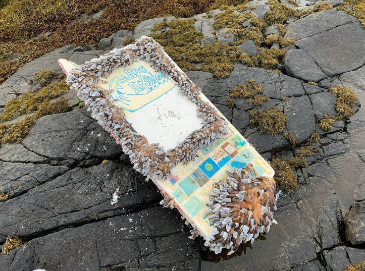 Детский кораблик преодолел 8000 миль