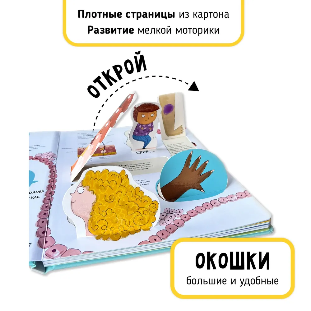 Фото книги Тело человека 3