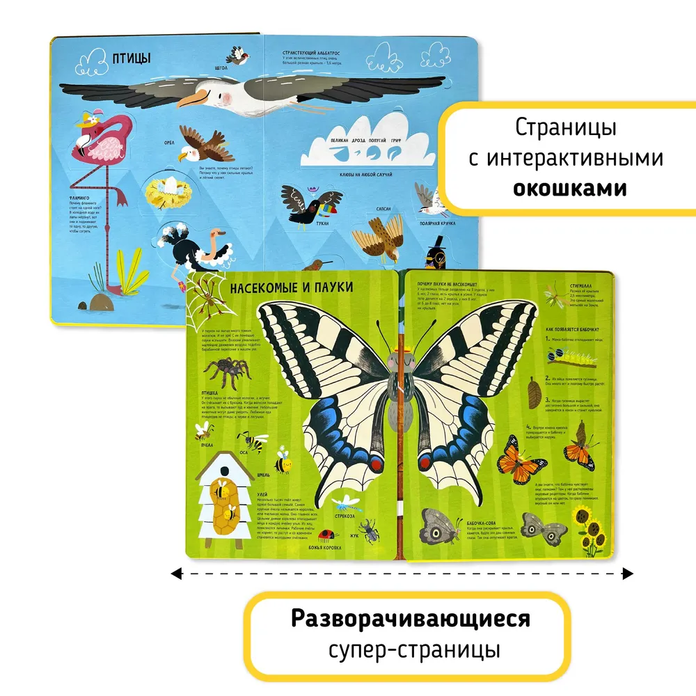 Фото книги Животные 2