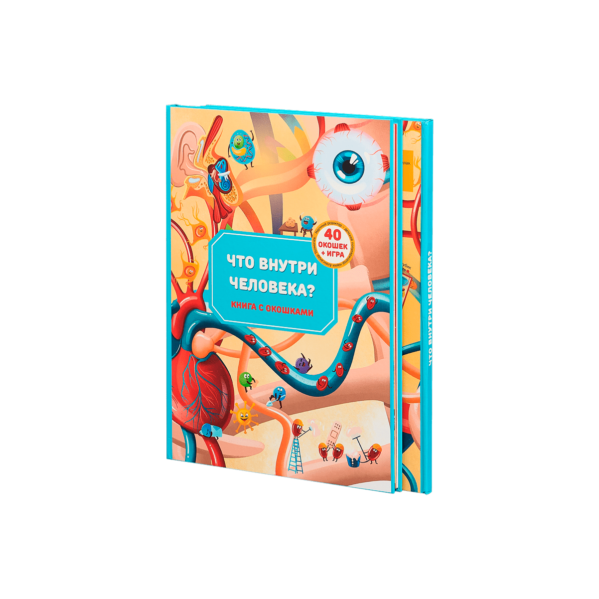 Что внутри человека